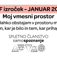 PDF izroček: Moj vmesni prostor